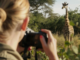 Wildlife Photography